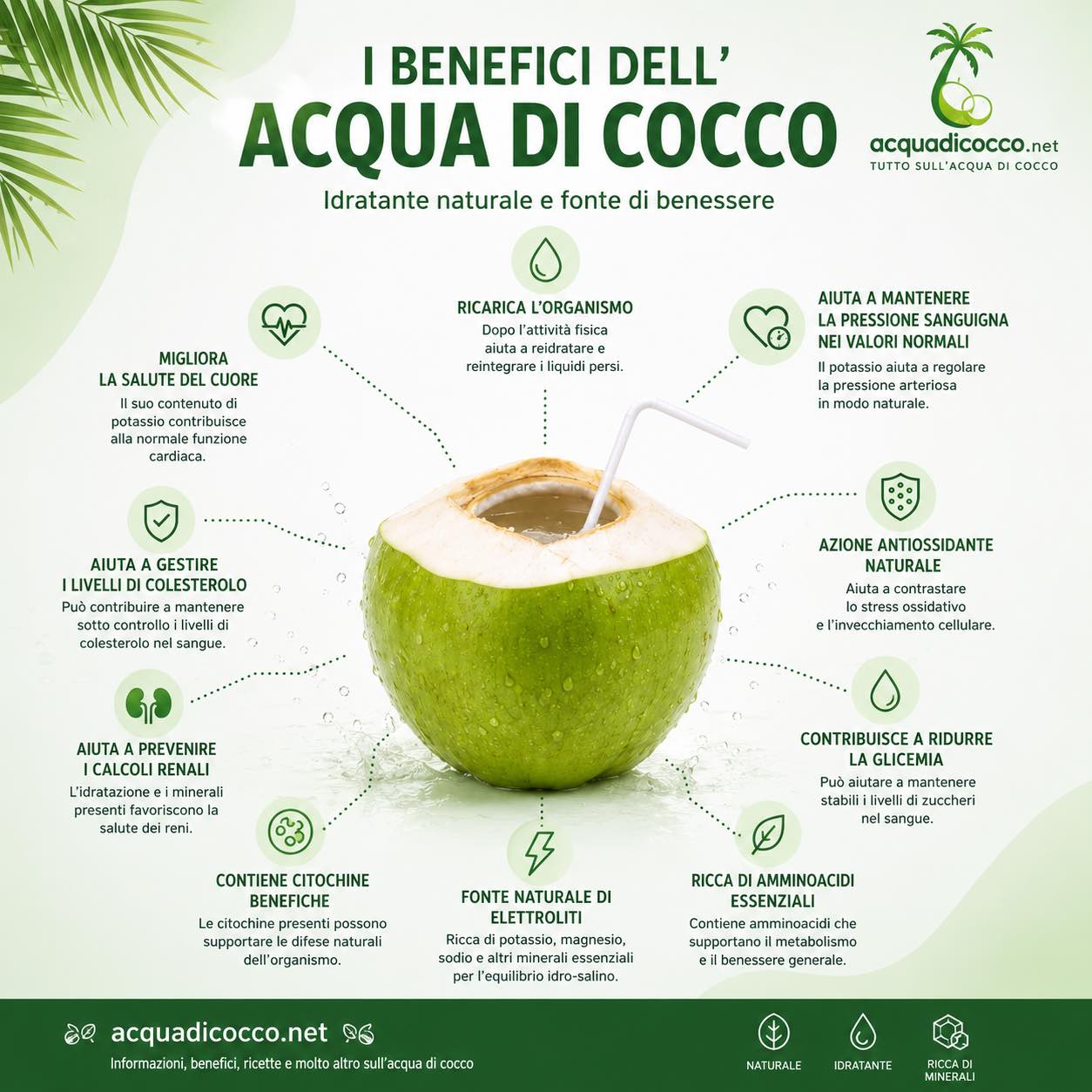 Infografica sui benefici dell'acqua di cocco: idratazione, elettroliti, potassio e benessere
